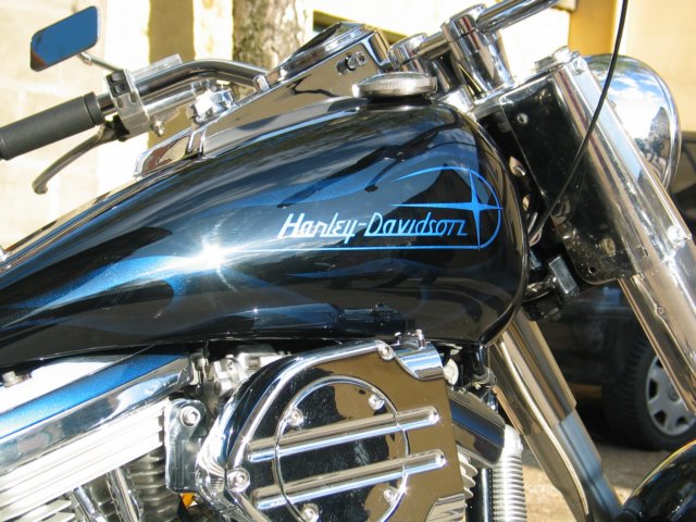 photo31.jpg