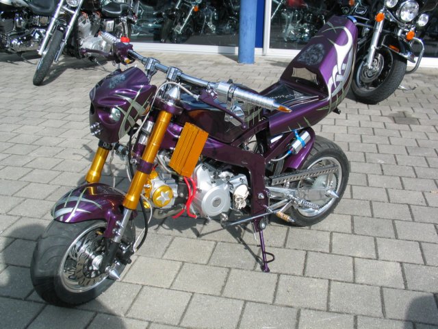 photo50.jpg