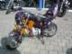 photo50_small.jpg