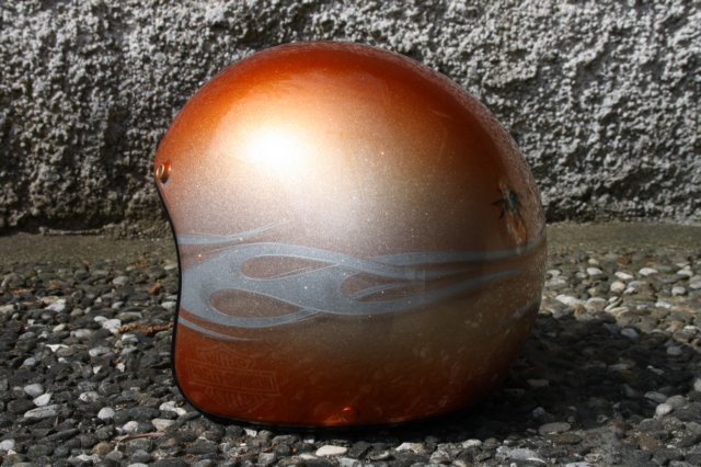 photo21.jpg